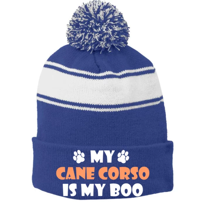 My Cane Corso Is My Boo Halloween Dog Owner Gift Stripe Pom Pom Beanie