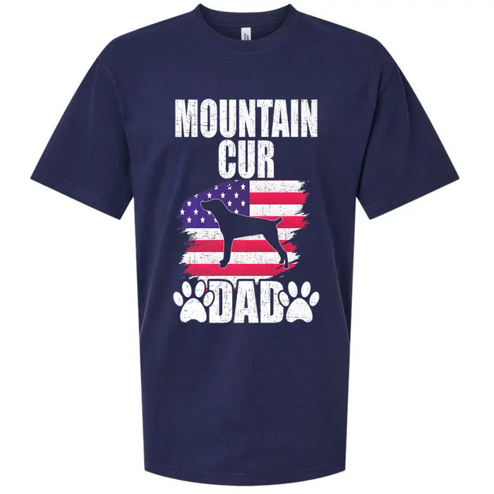 Mountain Cur Dad Dog Lover American Us Flag Premium Sueded Cloud Jersey T-Shirt