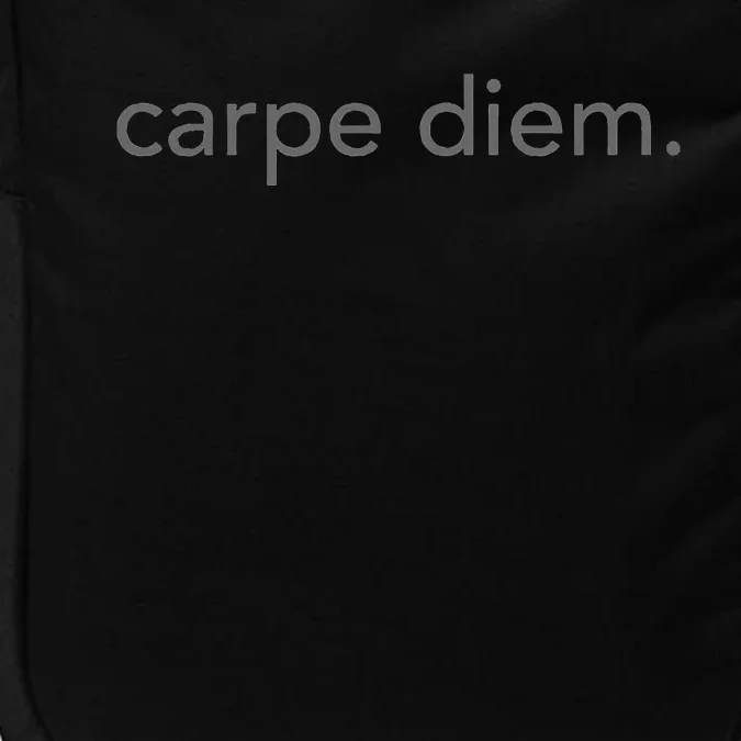 Minimalistic Carpe Diem. Minimal Impact Tech Backpack