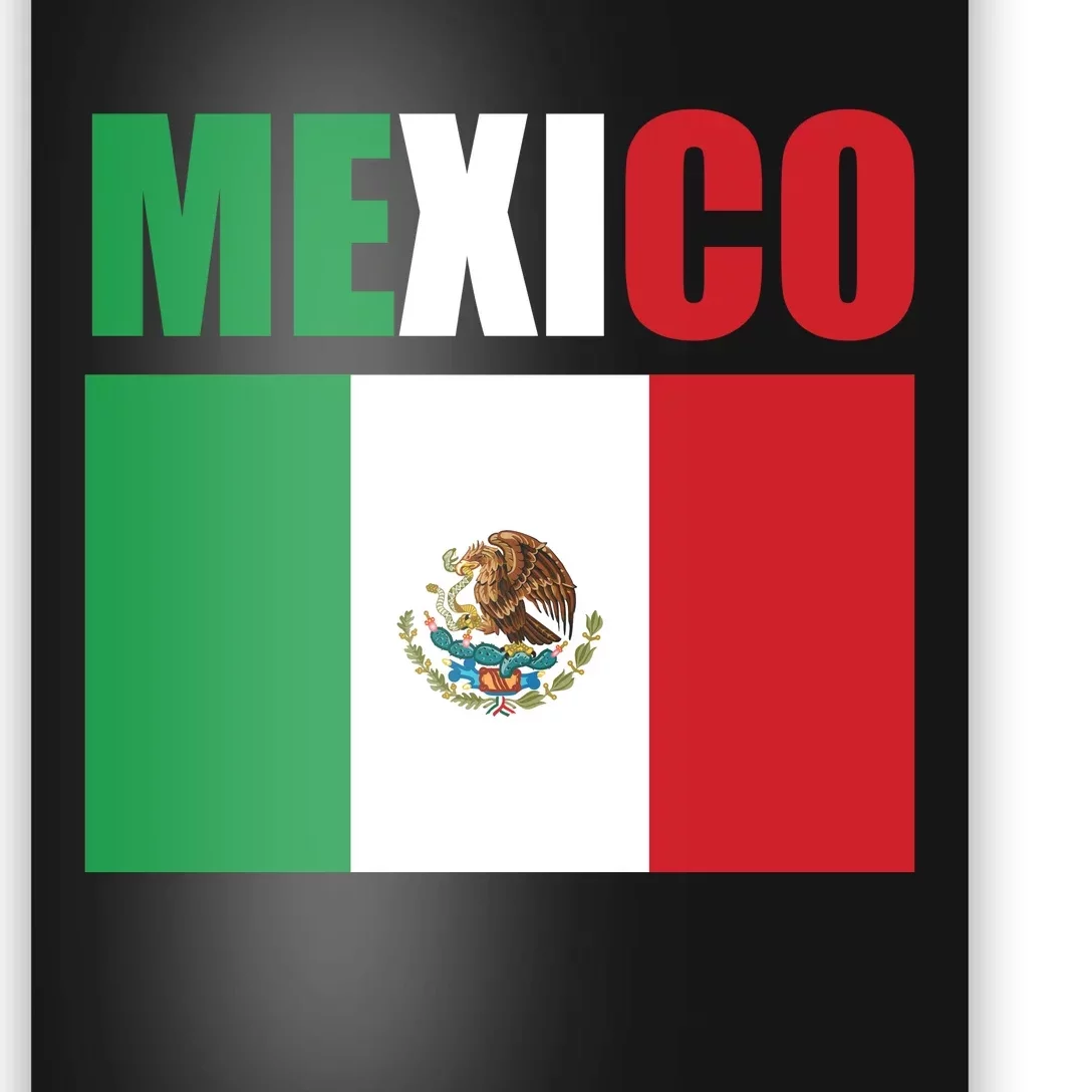 Mexico Cinco De Mayo T Poster