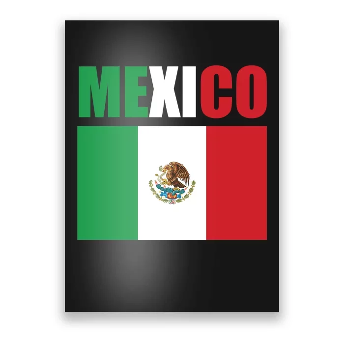 Mexico Cinco De Mayo T Poster