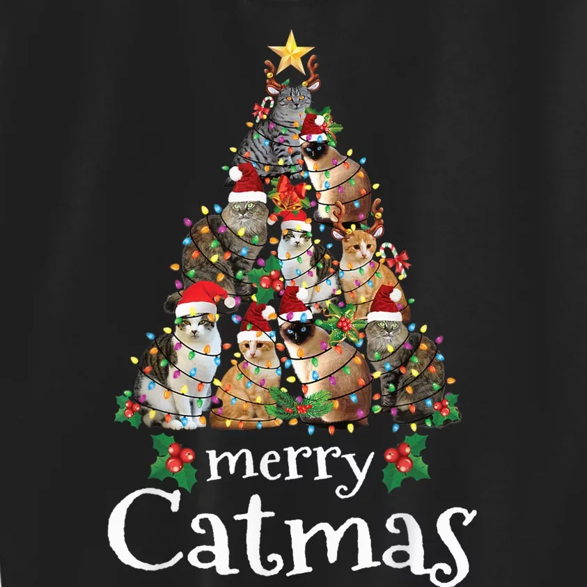 Merry Catmas Funny Cat Mom Cat Dad Christmas Cat Kids Sweatshirt