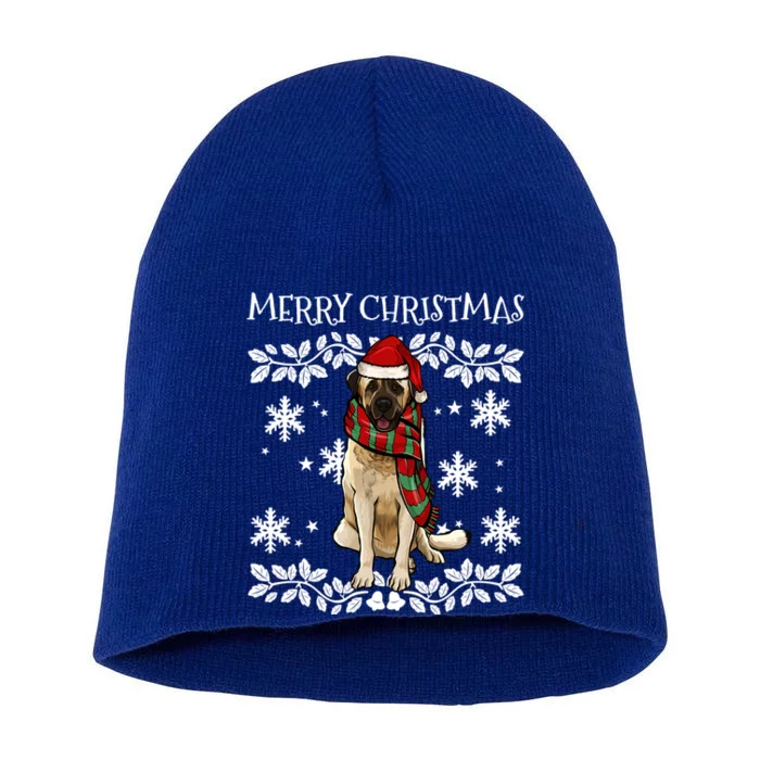 Merry Christmas Ornat Anatolian Shepherd Dog Xmas Santa Funny Gift Short Acrylic Beanie