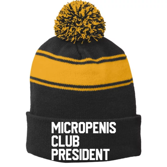 Micropenis Club President Funny Meme Sarcastic Stupid Cringe Stripe Pom Pom Beanie