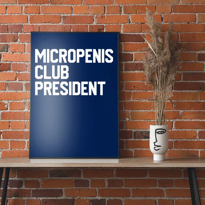 Micropenis Club President Funny Meme Sarcastic Stupid Cringe Poster