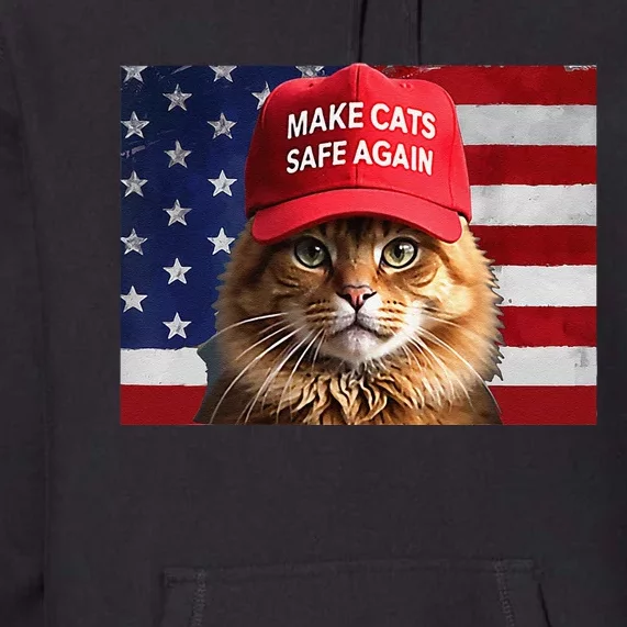 Make Cats Safe Again Gift Premium Hoodie