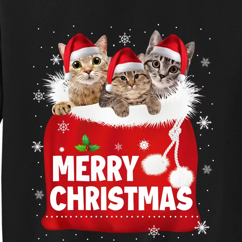 Merry Christmas Santa Cat Kitten In Xmas Santa Bag Christmas Long Sleeve Sweatshirt