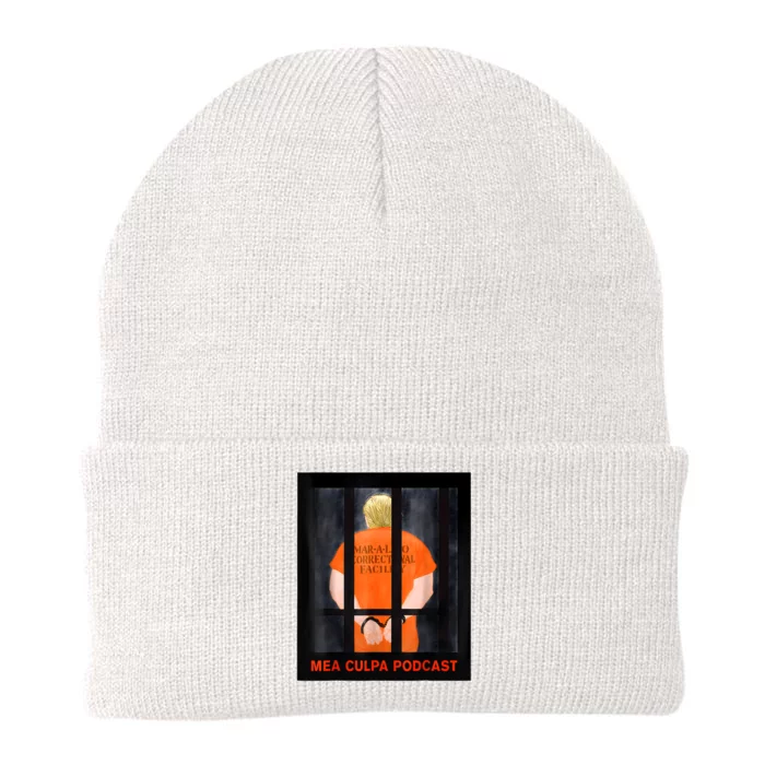 Michael Cohen Trump Trending Knit Cap Winter Beanie