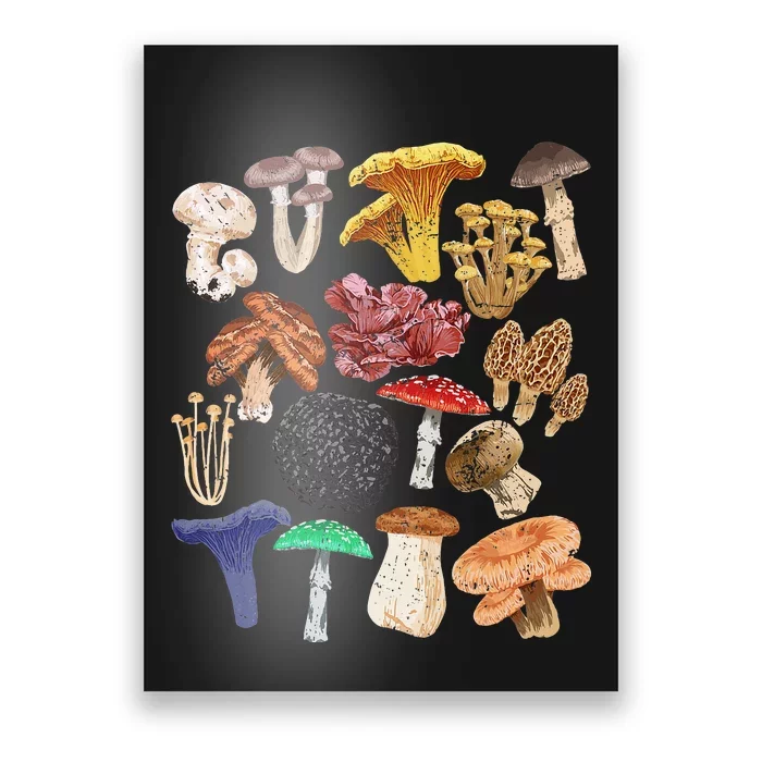 Mushroom Classification Types Mycology for Shroom Hunter Poster