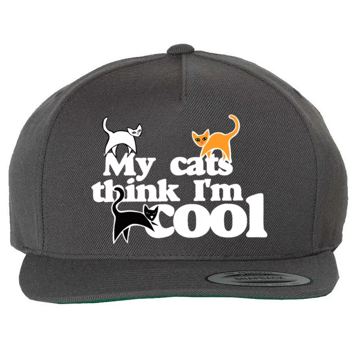 My Cats Think IM Cool Funny Cat Person Wool Snapback Cap