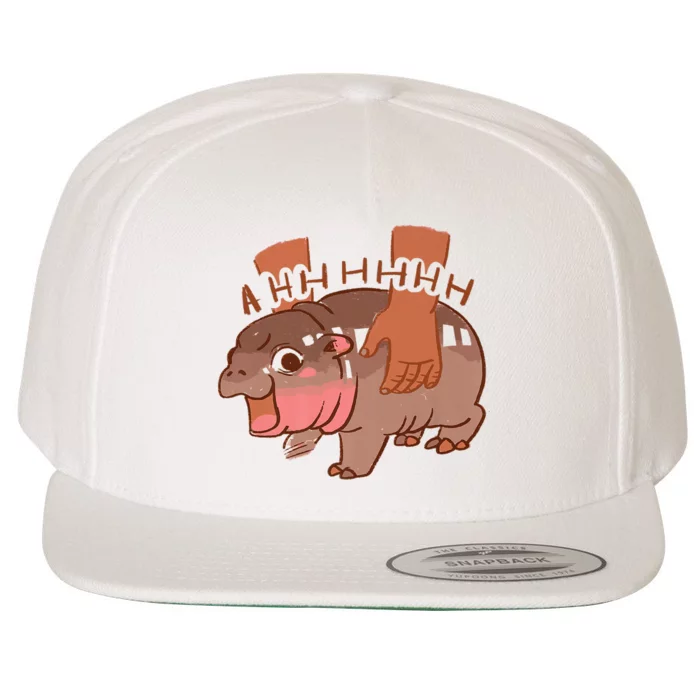 Moo Deng A Hh Hhhh Hippo Funny Wool Snapback Cap