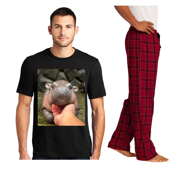 Moo Deng Bouncy Pig In Thai Picture The Cute Baby Hippo Moo Deng Lovers Pajama Set