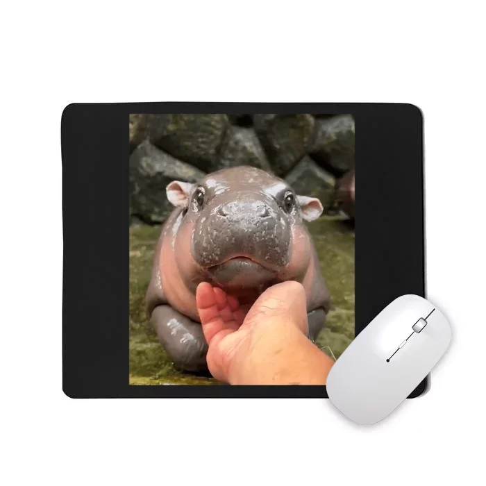 Moo Deng Bouncy Pig In Thai Picture The Cute Baby Hippo Moo Deng Lovers Mousepad