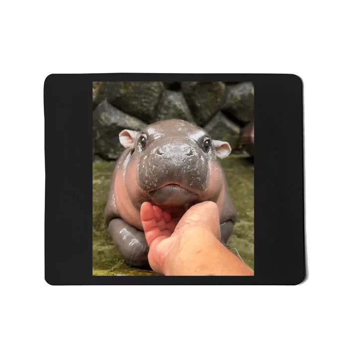 Moo Deng Bouncy Pig In Thai Picture The Cute Baby Hippo Moo Deng Lovers Mousepad