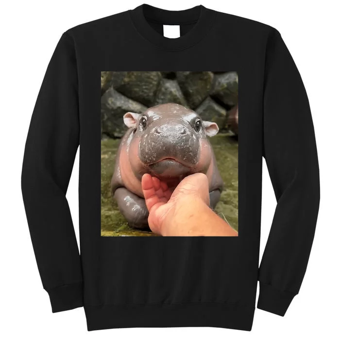 Moo Deng Bouncy Pig In Thai Picture The Cute Baby Hippo Moo Deng Lovers Tall Sweatshirt