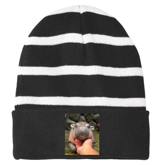 Moo Deng Bouncy Pig In Thai Picture The Cute Baby Hippo Moo Deng Lovers Striped Beanie with Solid Band