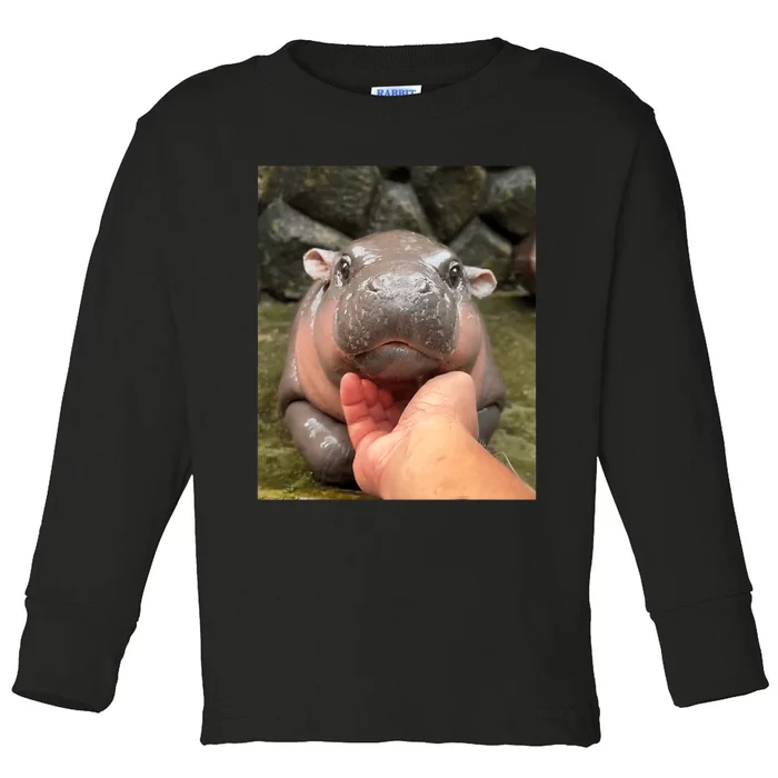 Moo Deng Bouncy Pig In Thai Picture The Cute Baby Hippo Moo Deng Lovers Toddler Long Sleeve Shirt