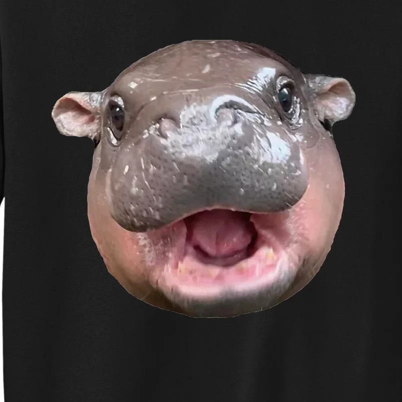 Moo Deng Bouncy Pig The Cute Baby Hippo Face Sweatshirt