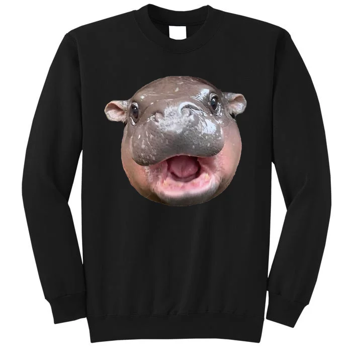 Moo Deng Bouncy Pig The Cute Baby Hippo Face Sweatshirt