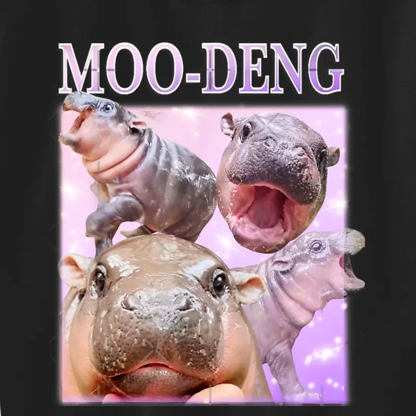 Moo Deng Baby Hippo Kids Sweatshirt