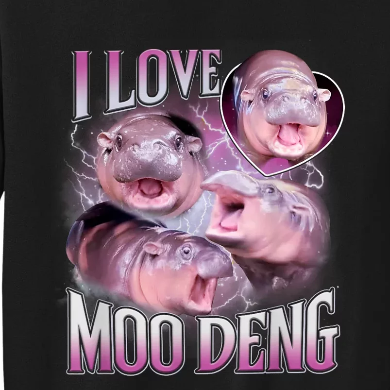 Moo Deng Baby Hippo Sweatshirt