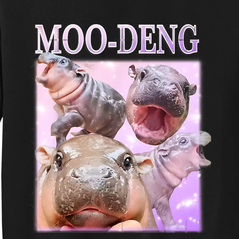 Moo Deng Baby Pygmy Hippos Thailand Sweatshirt