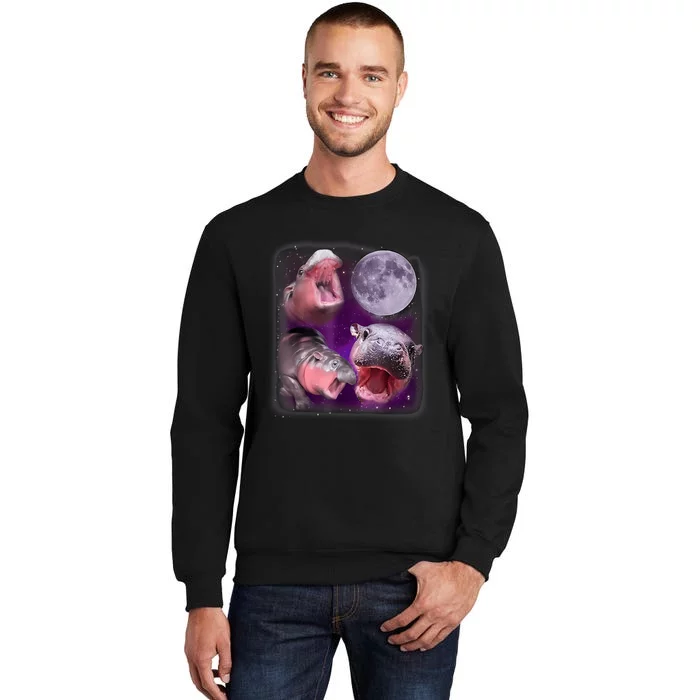 Moo Deng Bouncy Pig In Thai Picture Howling Under The Moon Tall Sweatshirt