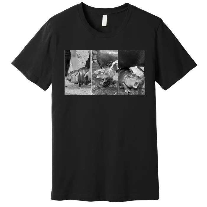 Moo Deng Baby Hippo Zoo Baby Hippo Black And White Premium T-Shirt