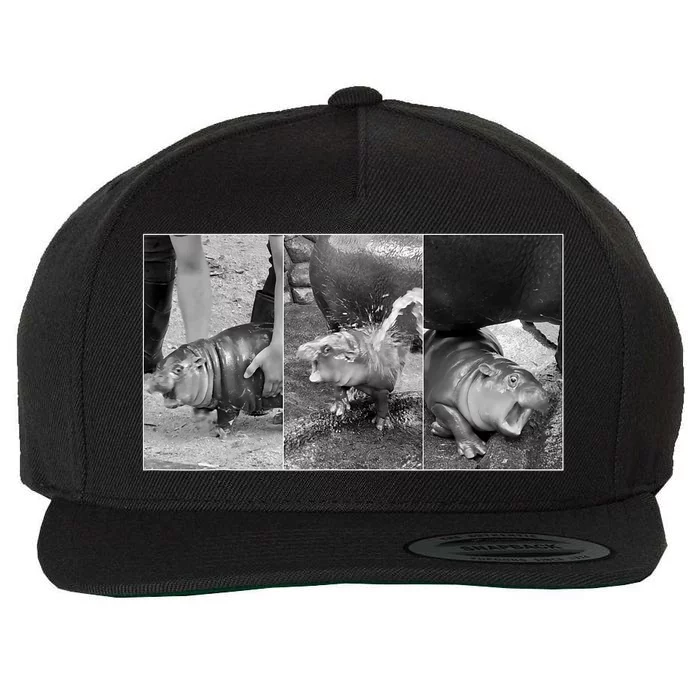 Moo Deng Baby Hippo Zoo Baby Hippo Black And White Wool Snapback Cap