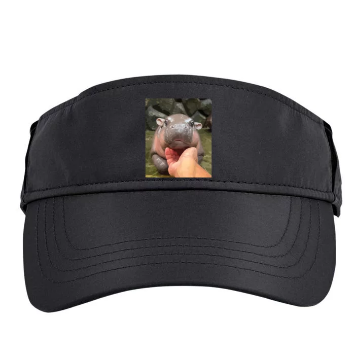 Moo Deng Bouncy Pig In Thai Picture The Cute Baby Hippo Adult Drive Performance Visor