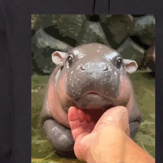 Moo Deng Bouncy Pig In Thai Picture The Cute Baby Hippo Premium Hoodie