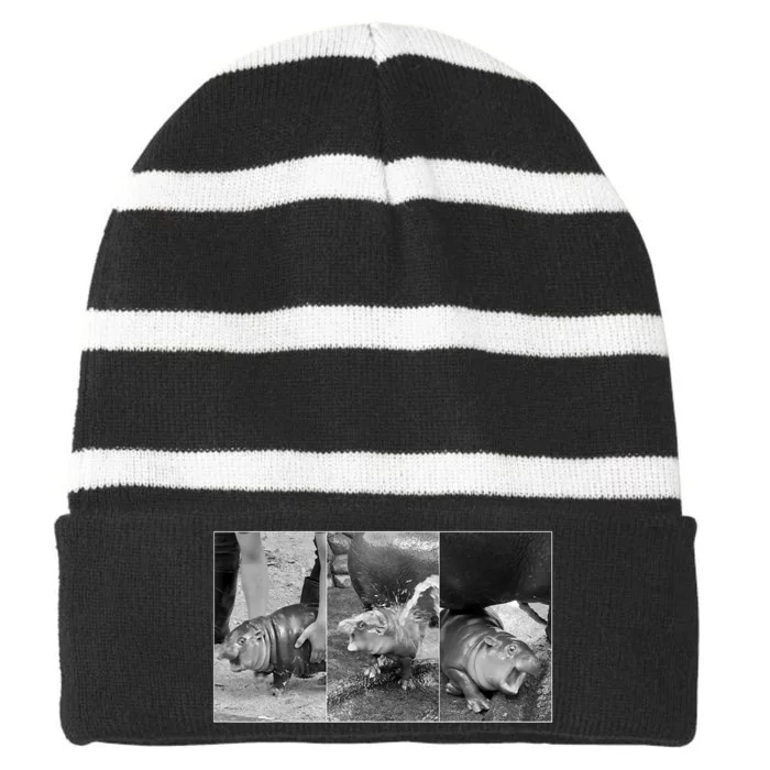 Moo Deng Baby Hippo Zoo Baby Hippo Black And White Striped Beanie with Solid Band