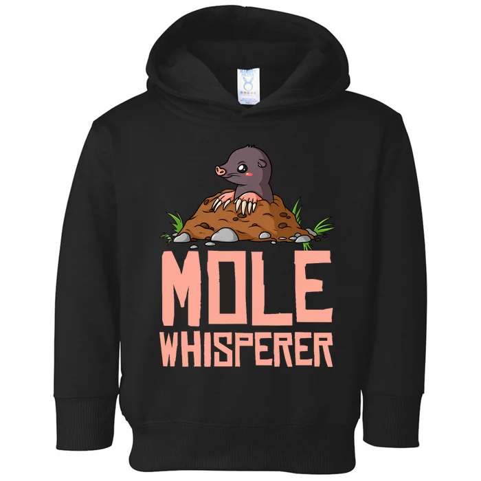 Mole Day Chemistry Hunter Chemist Toddler Hoodie