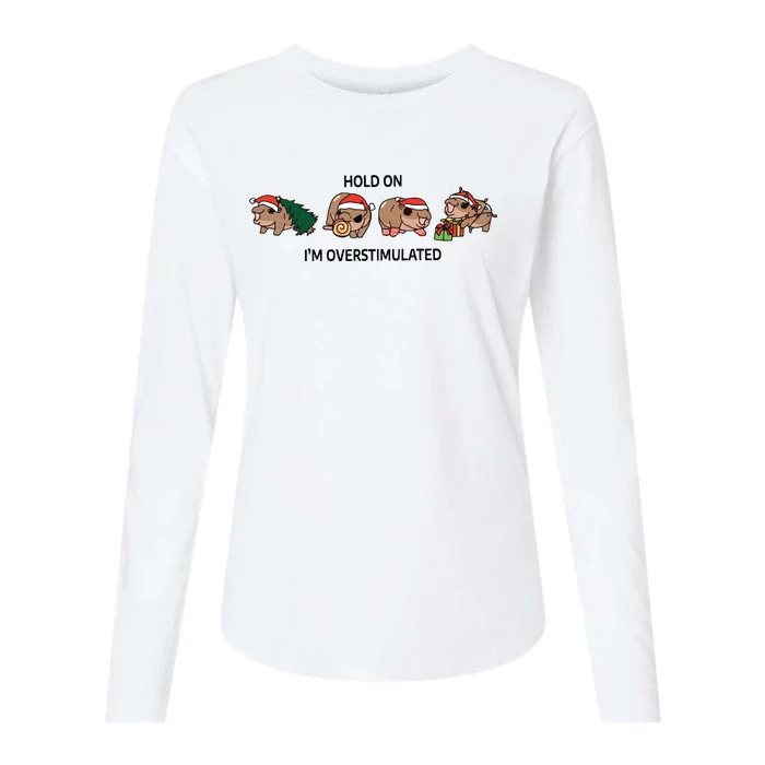 Moo Deng Christmas Womens Cotton Relaxed Long Sleeve T-Shirt