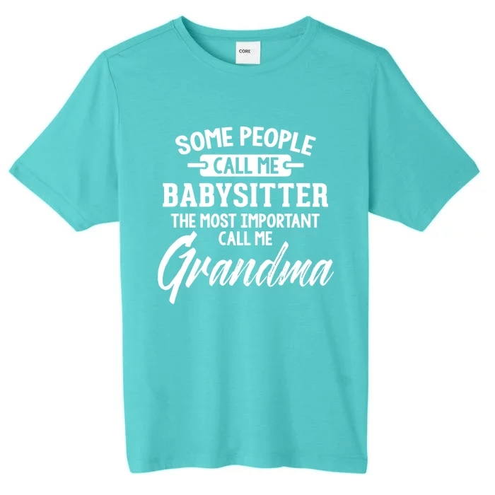 Mothers Day Funny Gift Sitter Grandma Meaningful Gift ChromaSoft Performance T-Shirt