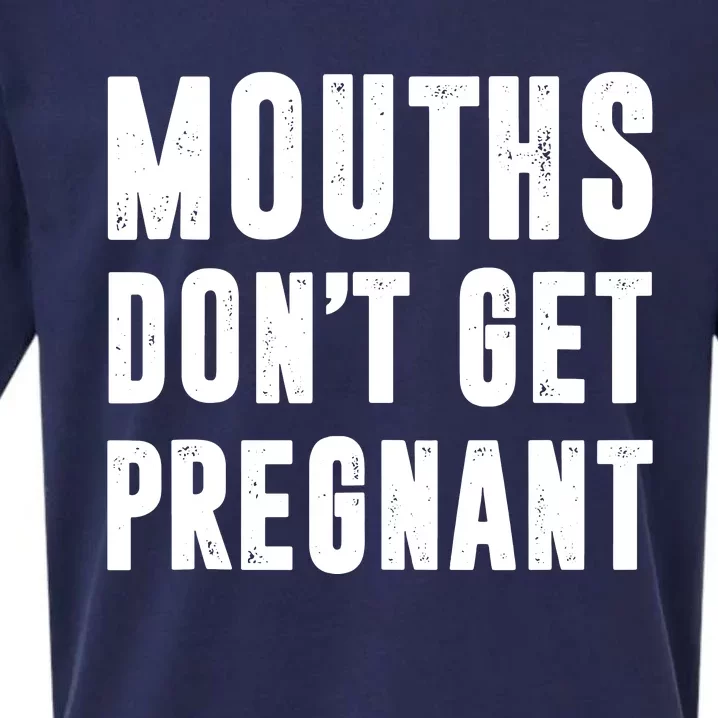 Mouths Dont Get Pregnant Sueded Cloud Jersey T-Shirt