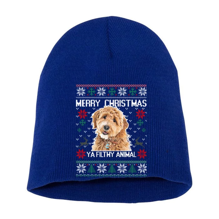 Merry Dogmas Golden Doodle Dog Funny Christmas Ugly Sweater Gift Short Acrylic Beanie