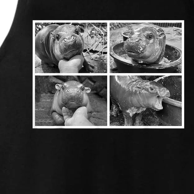 Moo Deng Hippo Photo Funny Pygmy Hippopotamus Ladies Tri-Blend Wicking Tank