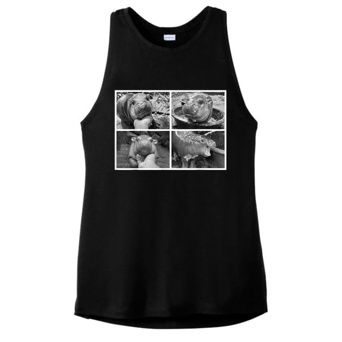 Moo Deng Hippo Photo Funny Pygmy Hippopotamus Ladies Tri-Blend Wicking Tank