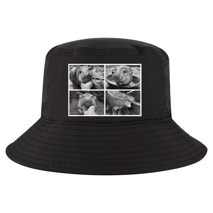 Moo Deng Hippo Photo Funny Pygmy Hippopotamus Cool Comfort Performance Bucket Hat