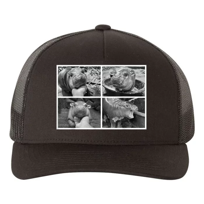 Moo Deng Hippo Photo Funny Pygmy Hippopotamus Yupoong Adult 5-Panel Trucker Hat