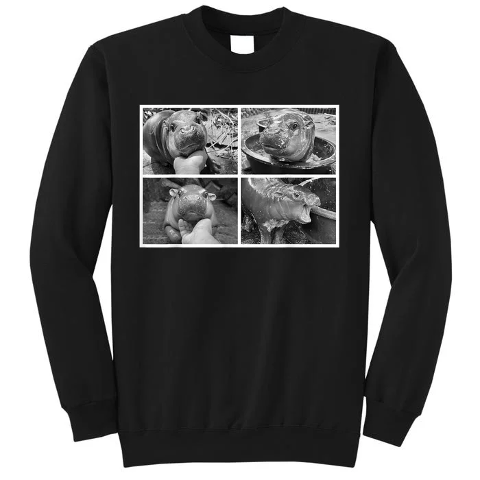 Moo Deng Hippo Photo Funny Pygmy Hippopotamus Sweatshirt