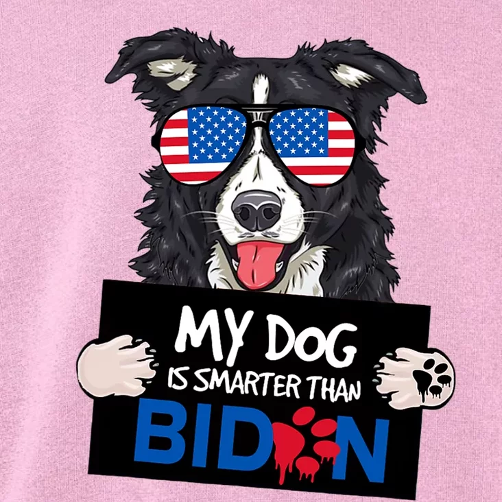 My Dog Is Smarter Than Biden USA Flag Border Collie Toddler Hoodie