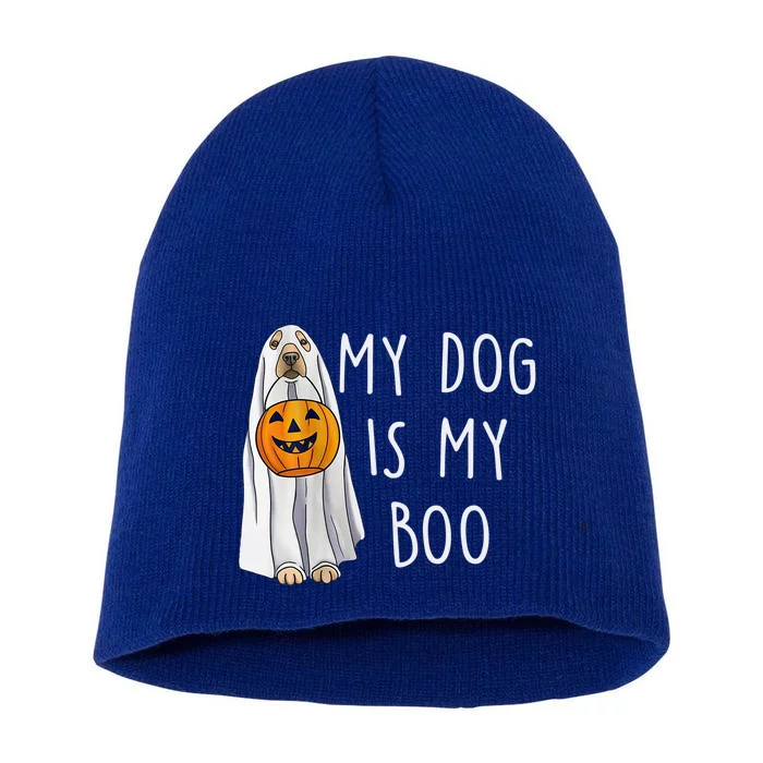 My Dog Is My Boo Halloween Funny Dog Owner Ghost Lover Gift Short Acrylic Beanie