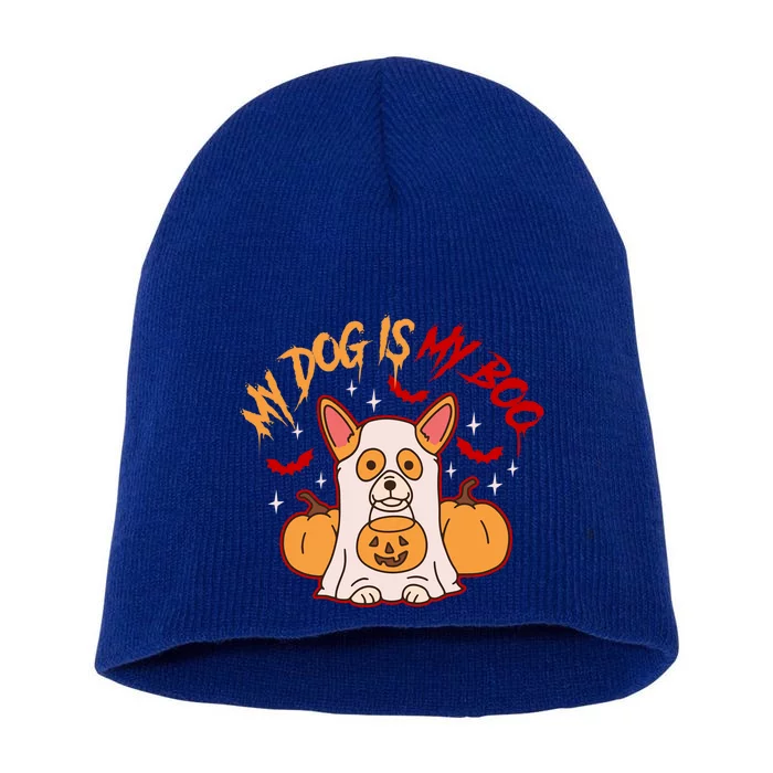 My Dog Is My Boo Cute Gift Short Acrylic Beanie