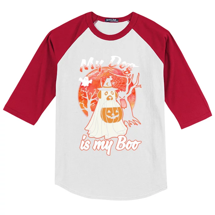 My Dog Is My Boo Funny Halloween Funny Gift Kids Colorblock Raglan Jersey