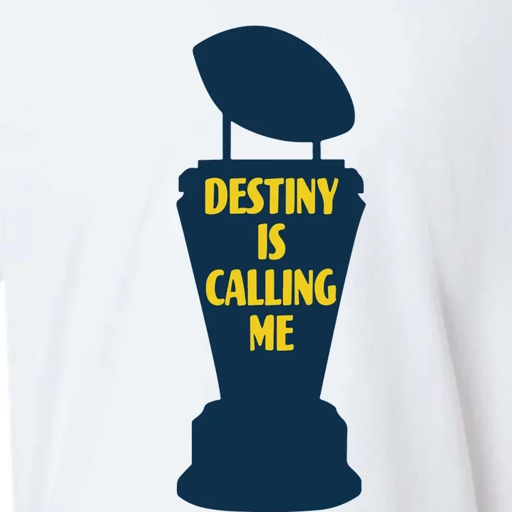 Michigan Destiny Is Calling Me Sueded Cloud Jersey T-Shirt