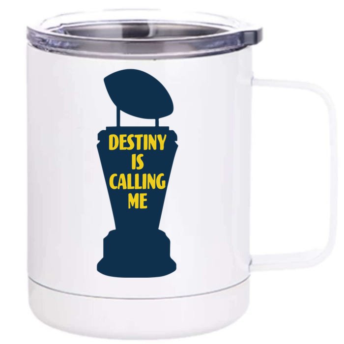 Michigan Destiny Is Calling Me Front & Back 12oz Stainless Steel Tumbler Cup