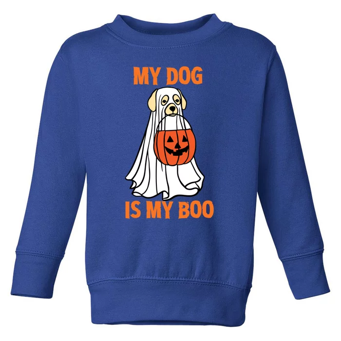 My Dog Is My Boo Happy Halloween Dog Animal Costume Funny Great Gift Toddler Sweatshirt