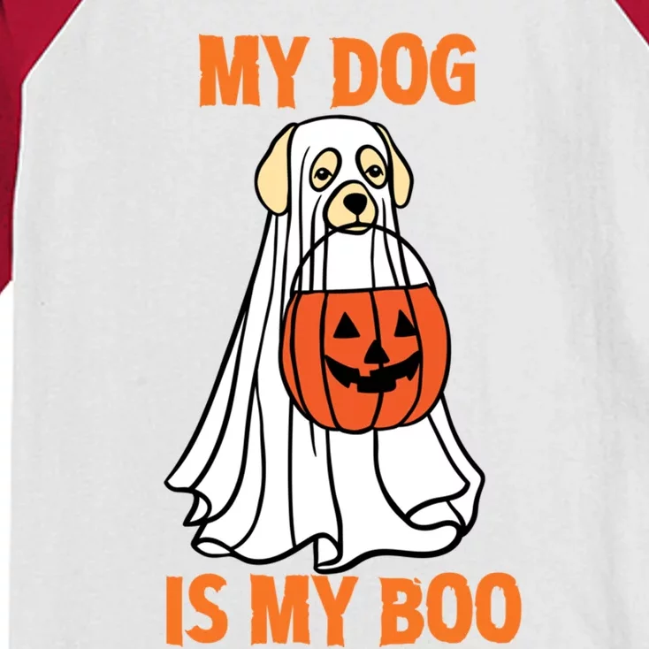 My Dog Is My Boo Happy Halloween Dog Animal Costume Funny Great Gift Kids Colorblock Raglan Jersey